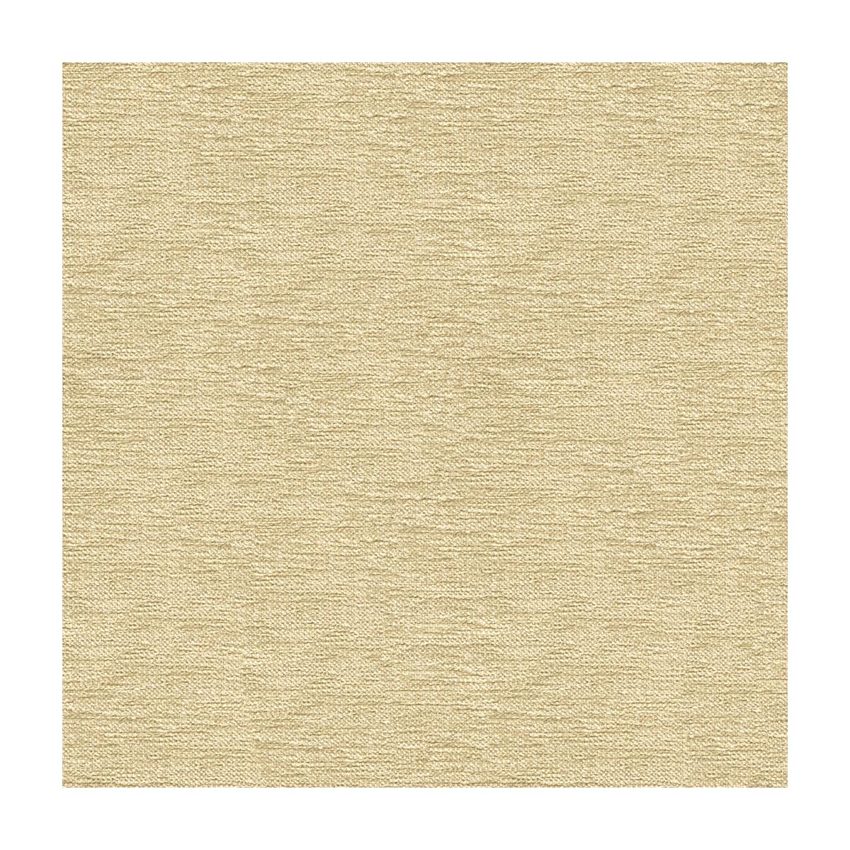 Kravet 33876 1116 Fabric