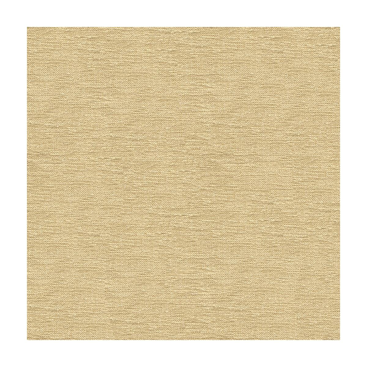 Kravet 33876 116 Fabric