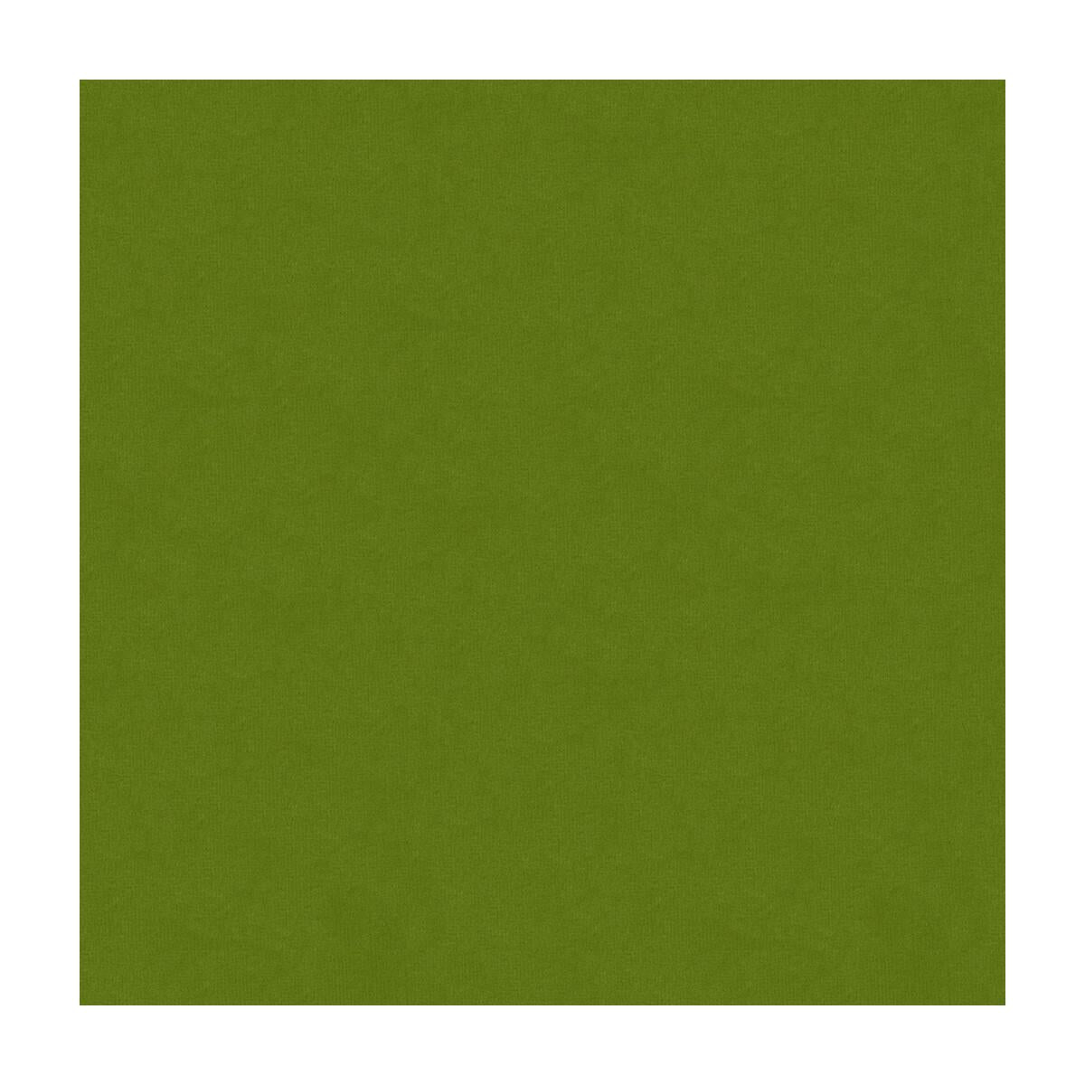 Kravet 34205 3 Fabric