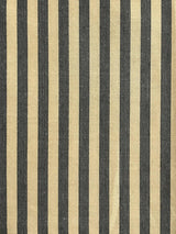 Scalamandre Directoire Iron Grey & Beige Fabric