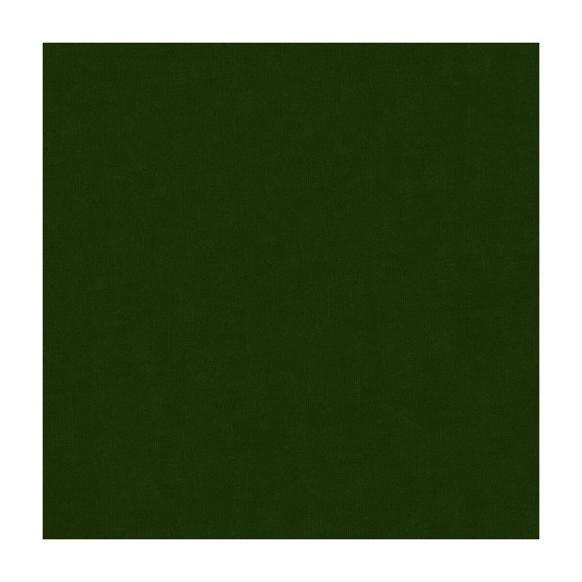 Kravet 34205 33 Fabric