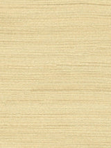 Scalamandre Less Beige Fabric