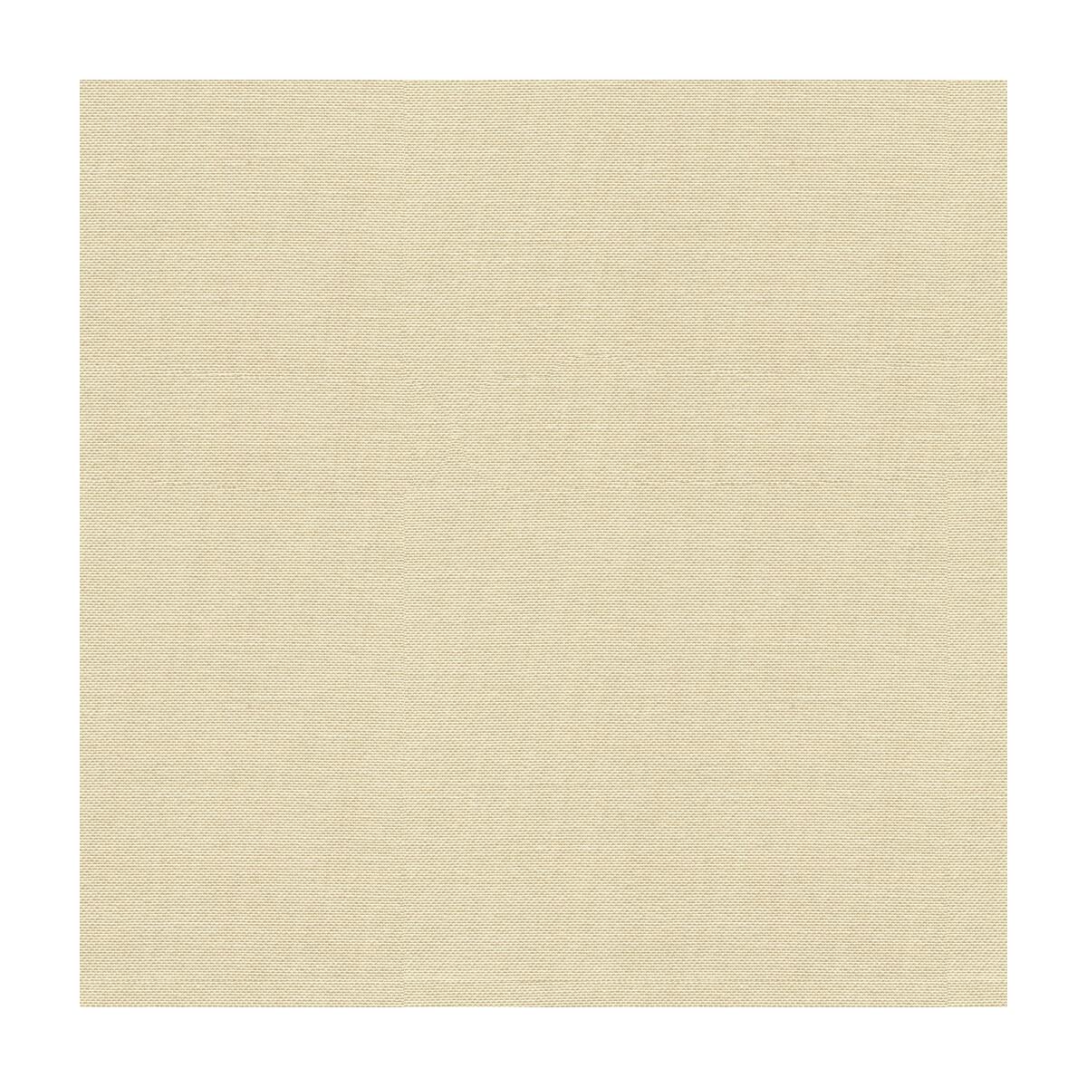 Kravet 34221 1116 Fabric