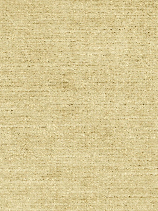 Scalamandre Persia Beige Fabric