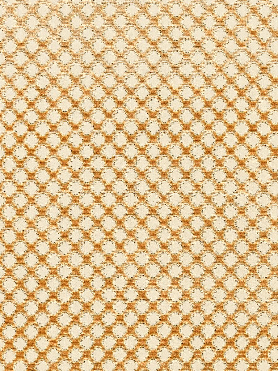 Scalamandre Pomfret | Silk Coffee On Beige Fabric