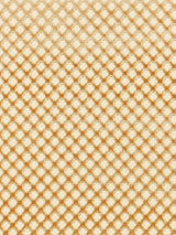 Scalamandre Pomfret | Silk Coffee On Beige Fabric