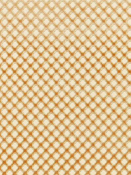 Scalamandre Pomfret | Silk Coffee On Beige Fabric