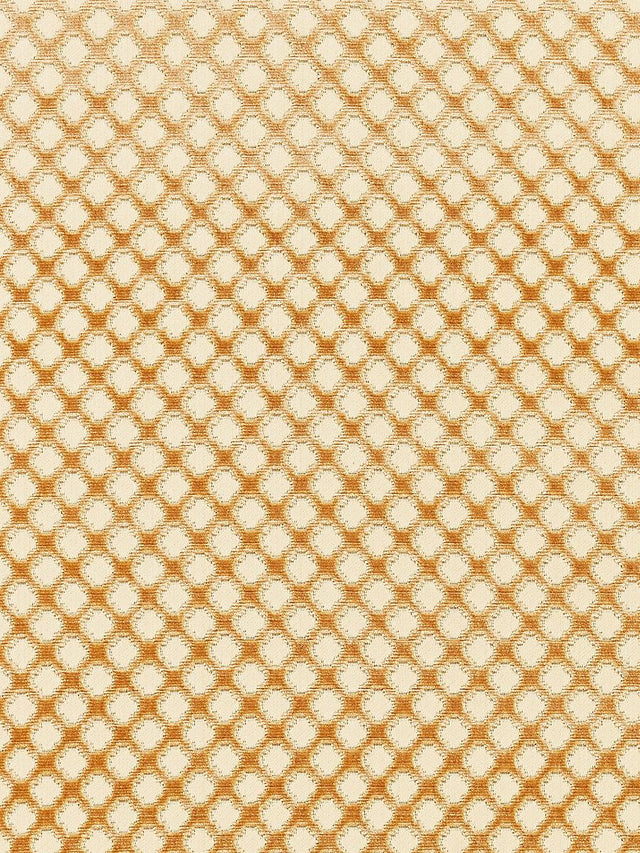 Scalamandre Pomfret | Silk Coffee On Beige Fabric