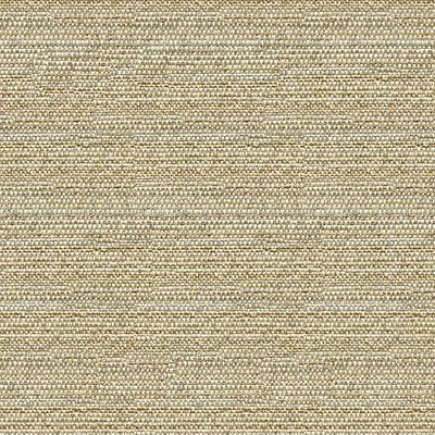 Kravet COUTURE 34274 1611 Upholstery Fabric