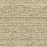 Kravet COUTURE 34274 1611 Upholstery Fabric