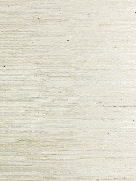 Scalamandre Tightweave Jute Sand Wallpaper