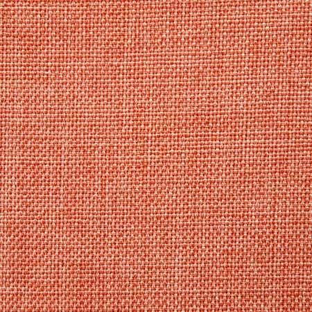 Pindler ASHTON CORAL Fabric