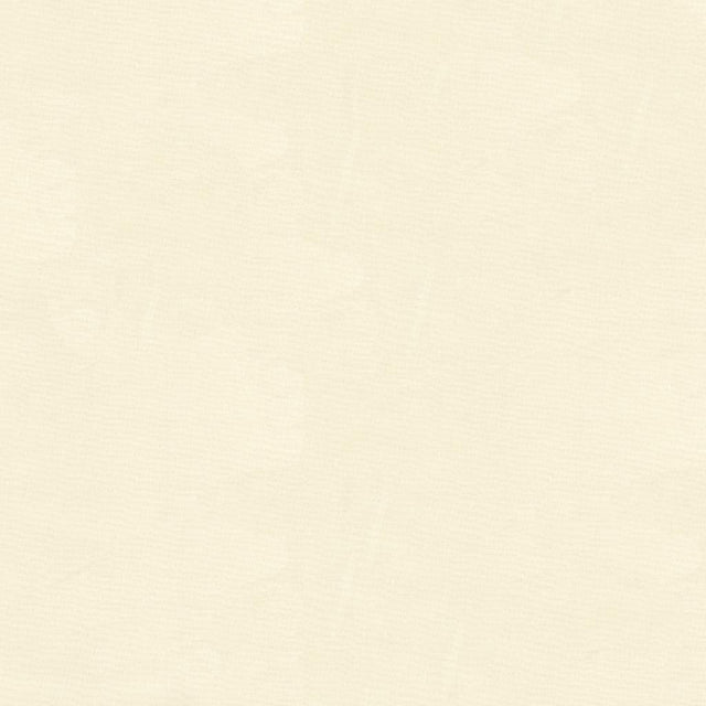 Kravet BASICS 4106 1 Drapery Fabric