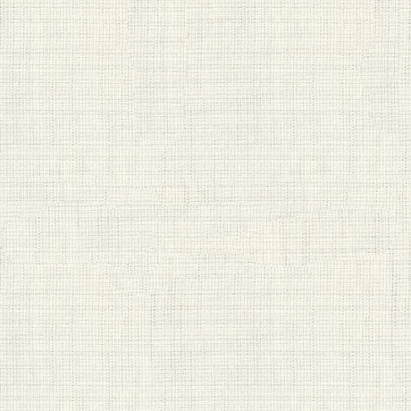 Kravet BASICS 4106 101 Drapery Fabric