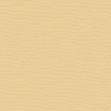 Kravet BASICS 4106 16 Drapery Fabric