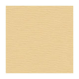 Kravet 4106 16 Fabric