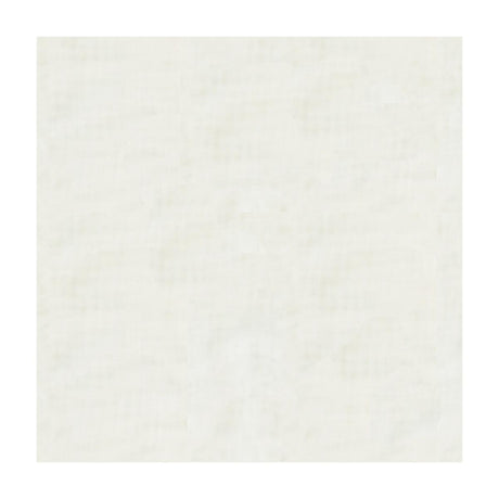 Kravet 4108 101 Fabric