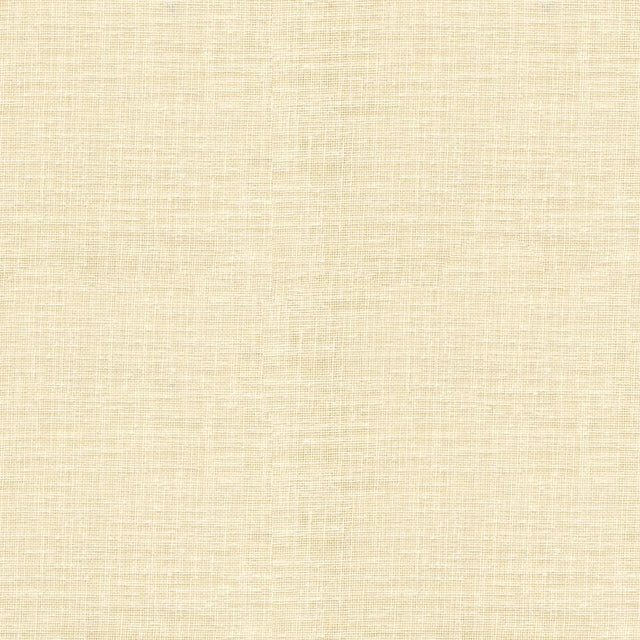 Kravet BASICS 4110 1 Drapery Fabric