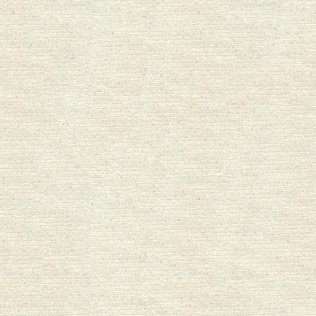 Kravet BASICS 4113 101 Drapery Fabric