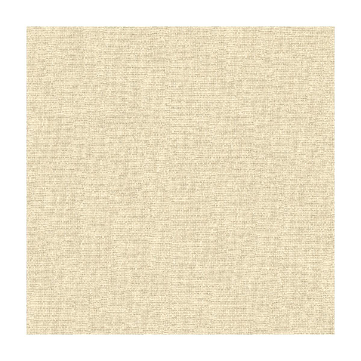 Kravet 4118 1 Fabric