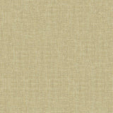 Kravet BASICS 4118 1116 Drapery Fabric