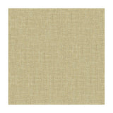 Kravet 4118 1116 Fabric