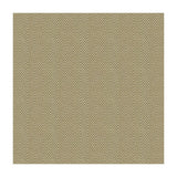 Kravet 4119 4 Fabric