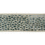 Kravet VELVET PEBBLE SPA Trim