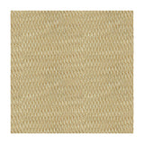 Kravet 4149 1616 Fabric