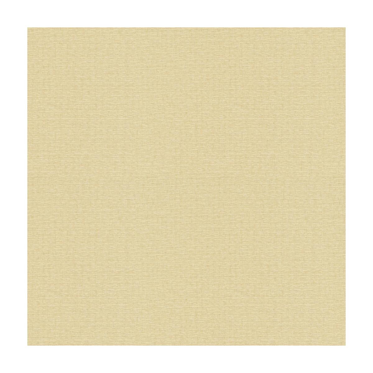 Kravet 4156 16 Fabric