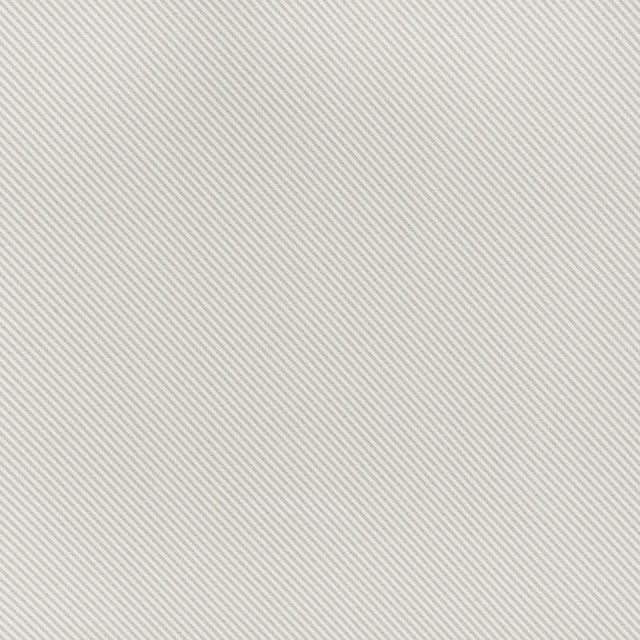 Schumacher Avenue Ivory & Grey Fabric