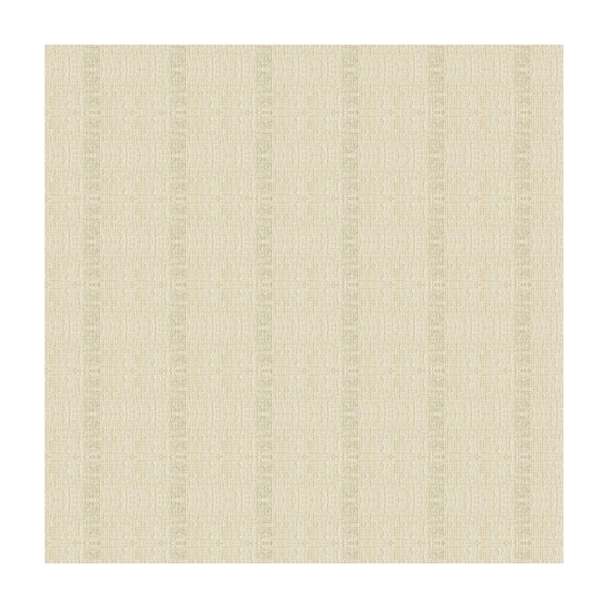 Kravet 4157 1116 Fabric