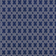 Schumacher Hix Navy Fabric