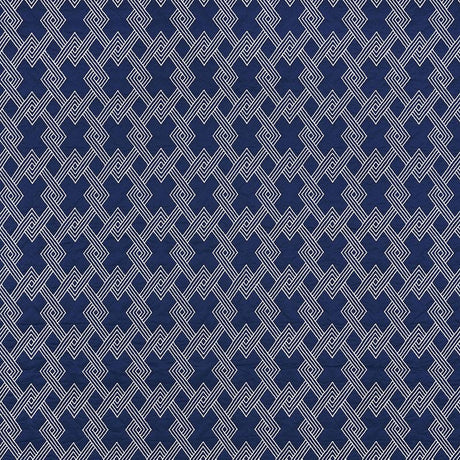 Schumacher Hix Navy Fabric
