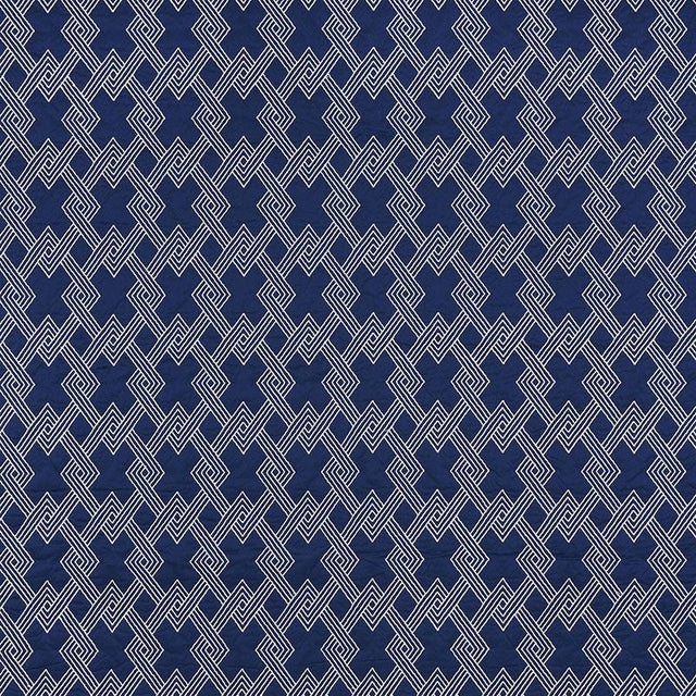 Schumacher Hix Navy Fabric