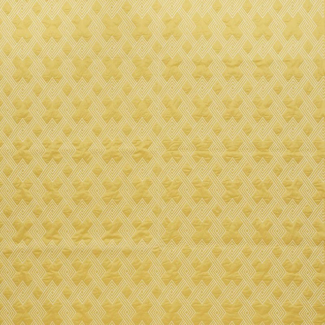 Schumacher Hix Yellow Fabric