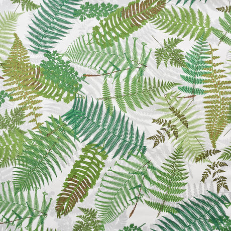 Schumacher Fernarium Ivory & Leaf Wallpaper