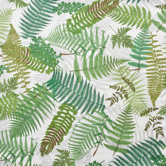 Schumacher Fernarium Ivory & Leaf Wallpaper