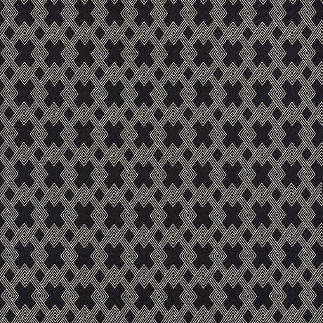 Schumacher Hix Ebony Fabric