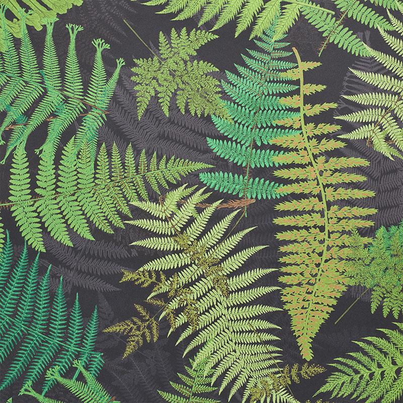 Schumacher Fernarium Black & Leaf Wallpaper