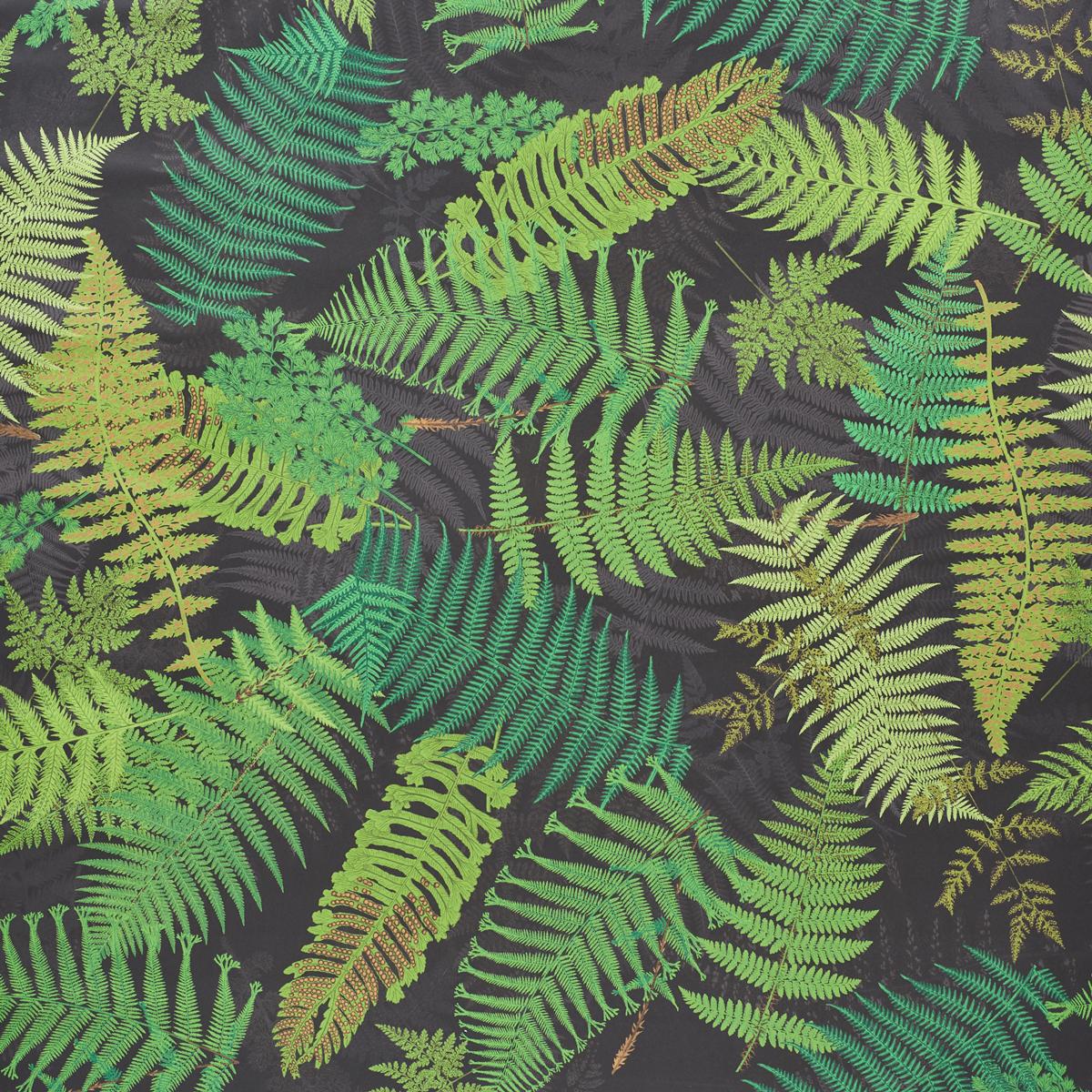 Schumacher Fernarium Black & Leaf Wallpaper