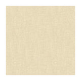 Kravet 4161 1 Fabric