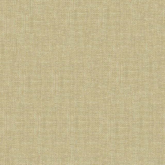 Kravet CONTRACT 4161 1116 Drapery Fabric