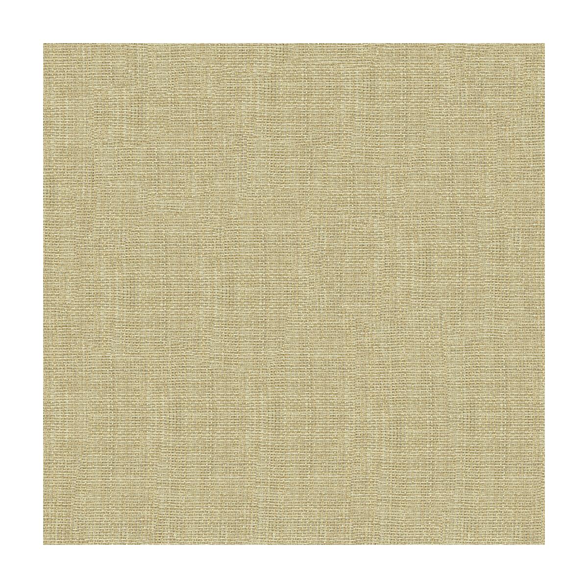Kravet 4161 1116 Fabric