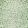 Schumacher Feather Bloom Sisal Emerald & Ore Wallpaper