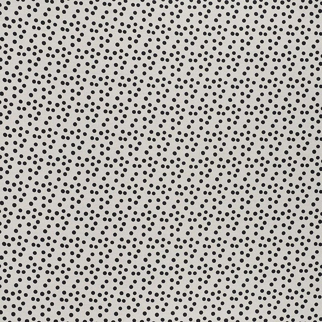 Schumacher Roxy Black Fabric