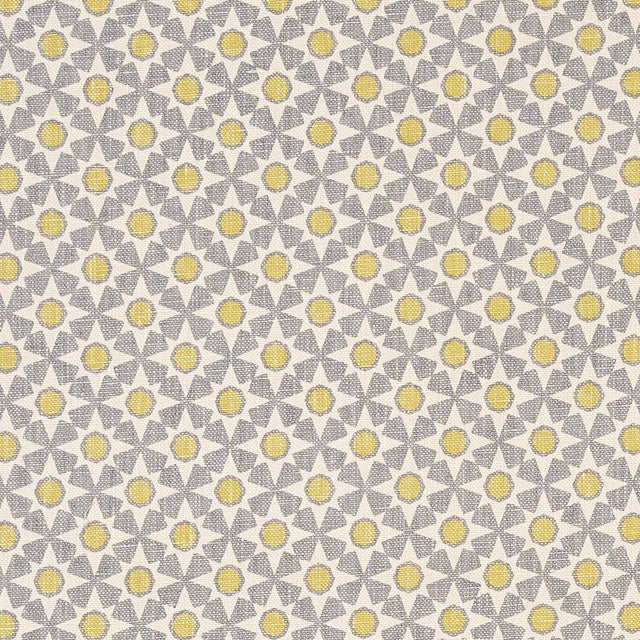 Schumacher Serendipity Bay & Citron Fabric