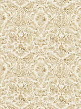 Scalamandre Mansfield Damask Print Ivory & Burnished Gold Fabric