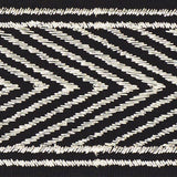 Schumacher Nicholson Metallic Tape Platinum Trim