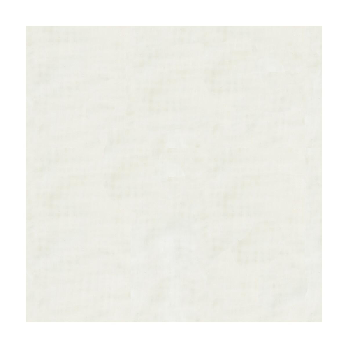 Kravet 4169 101 Fabric